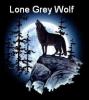 Grey lone Wolf