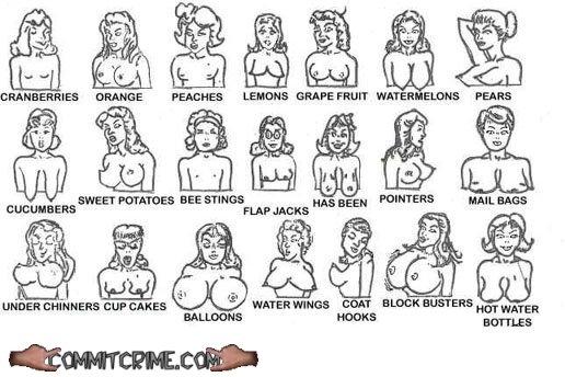 BOOB%20DICTIONARY[1].jpg