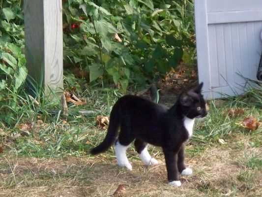 Baby
Noch mit Mama und Papa zusammen vor dem Haus
