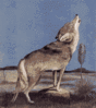 Dateiname=12.gif
Dateigröße=29KB
Abmessungen: 160x180
hinzugefügt am: 19. Mai 2010 12.gif