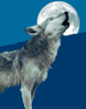 Dateiname=13.gif
Dateigröße=21KB
Abmessungen: 150x190
hinzugefügt am: 19. Mai 2010 13.gif