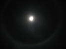 Dateiname=Vollmond__12__Dez_08.jpg
Dateigröße=172KB
Abmessungen: 2592x1944
hinzugefügt am: 13. Dezember 2008 Vollmond__12__Dez_08.jpg