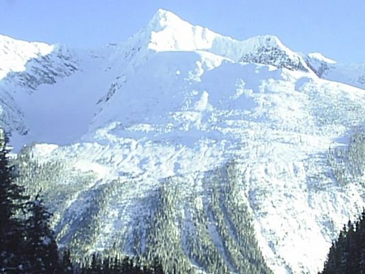 In Natura ein gigantischer Anblick
