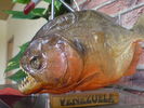 Dateiname=fisch.jpg
Dateigröße=641KB
Abmessungen: 2048x1536
hinzugefügt am: 22. Juni 2008 fisch.jpg