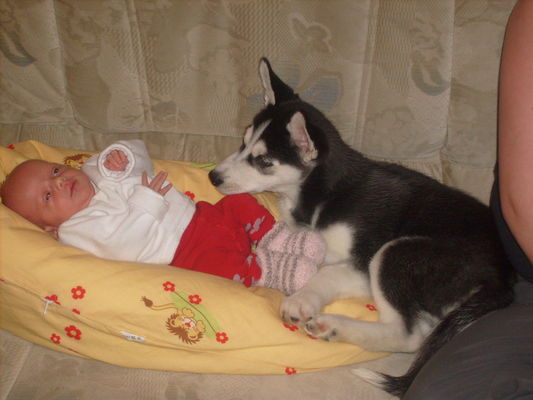 Amy und unser Husky Jack
