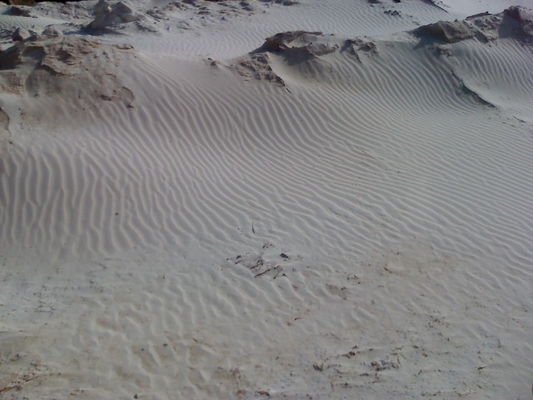 Spuren im Sand
SchÃ¶ne muster die der Wind im Sand hinterlÃ¤ÃŸt
