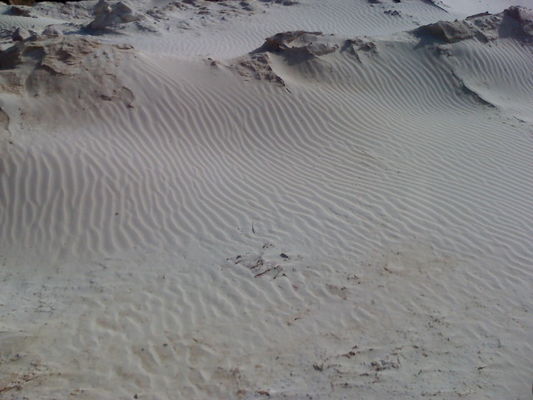 Spuren im Sand
SchÃ¶ne muster die der Wind im Sand hinterlÃ¤ÃŸt
