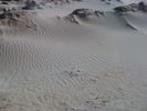 Dateiname=Spuren_im_Sand.jpg
Dateigröße=70KB
Abmessungen: 640x480
hinzugefügt am: 03. Mai 2014 Spuren_im_Sand.jpg
